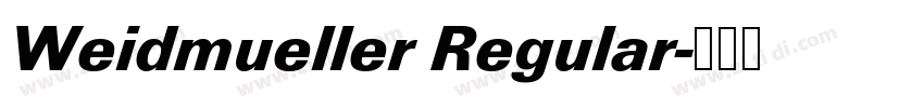 Weidmueller Regular字体转换